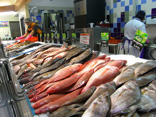Fish on display at the Upper Darby H-Mart